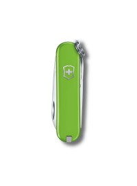 NAVAJA VICTORINOX CLASSIC SMASHED AVOCADO 0.6223.43G